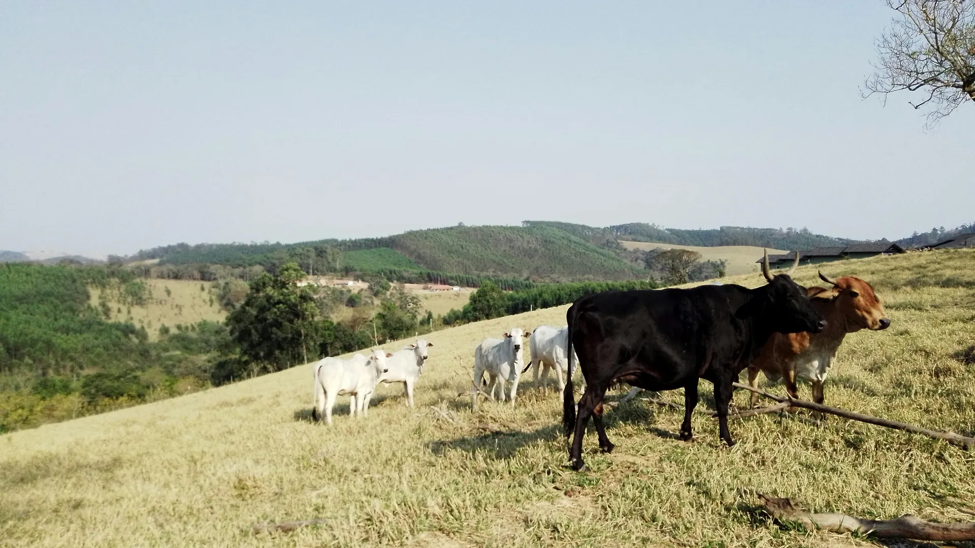 Farm fresh milk from Doodh & Co